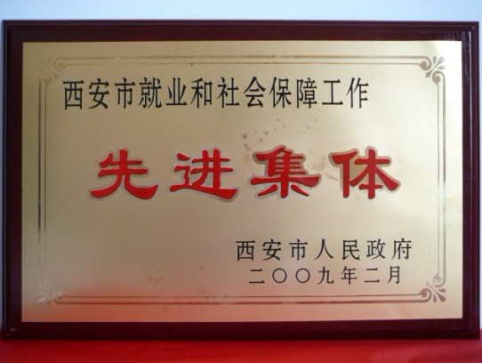 2009年2月，，，，，，被西安市政府评为西安市就业和社会包管事情先进整体